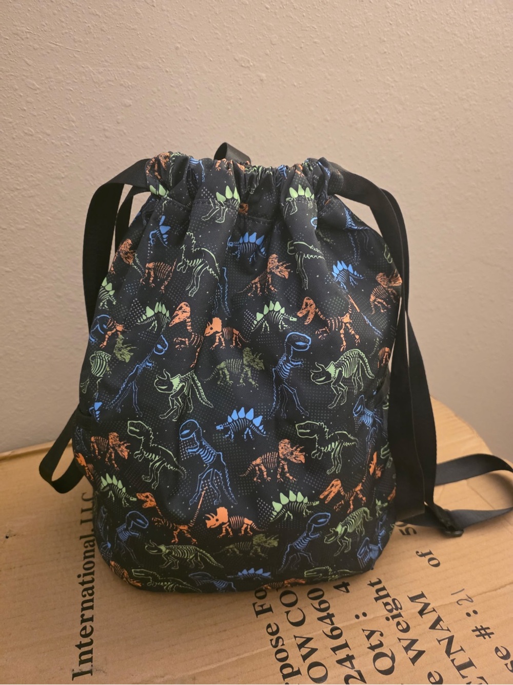 Drawstring Dinosaur Backpack - Black with Neon Dinosaurs
